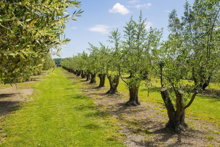 Photo of property in 144 Makaraka Road, Makaraka, Gisborne, 4071