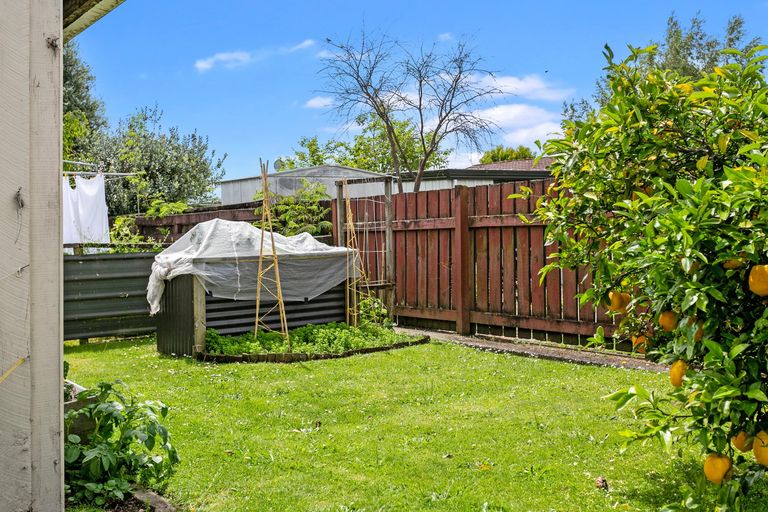 Photo of property in 48b Rawhiti Avenue, Matamata, 3400