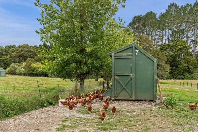 Photo of property in 873 Whangaripo Valley Road, Whangaripo, Wellsford, 0972