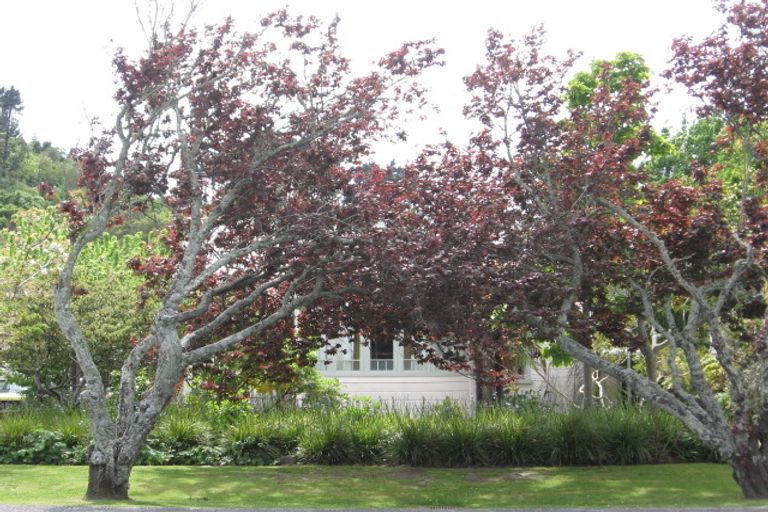 Photo of property in 103 Russell Street, Whataupoko, Gisborne, 4010