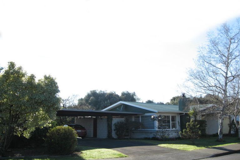 Photo of property in 1 Shortland Place, Havelock North, 4130