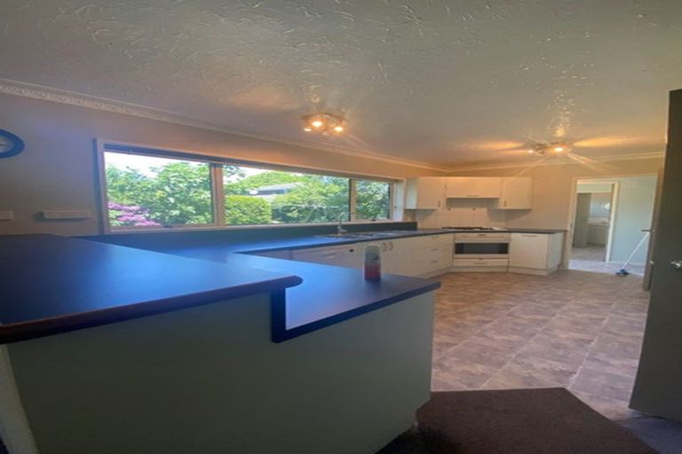 Photo of property in 24 Corfe Street, Ilam, Christchurch, 8041