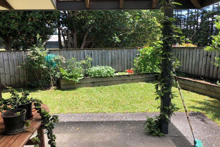 Photo of property in 23a Cobham Court, Kerikeri, 0230