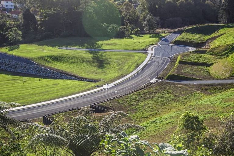 Photo of property in 22 Sycamore Grove, Lower Vogeltown, New Plymouth, 4310