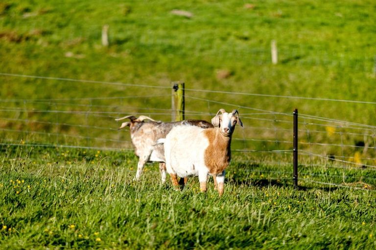 Photo of property in 743 Bay Road, Oxford, 7430