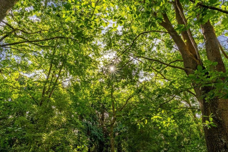 Photo of property in 16 Woodlands Way, Greytown, 5712