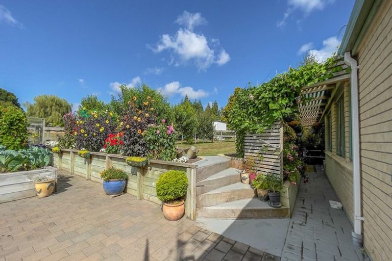 Photo of property in 24 Banks Road, Matamata, 3473