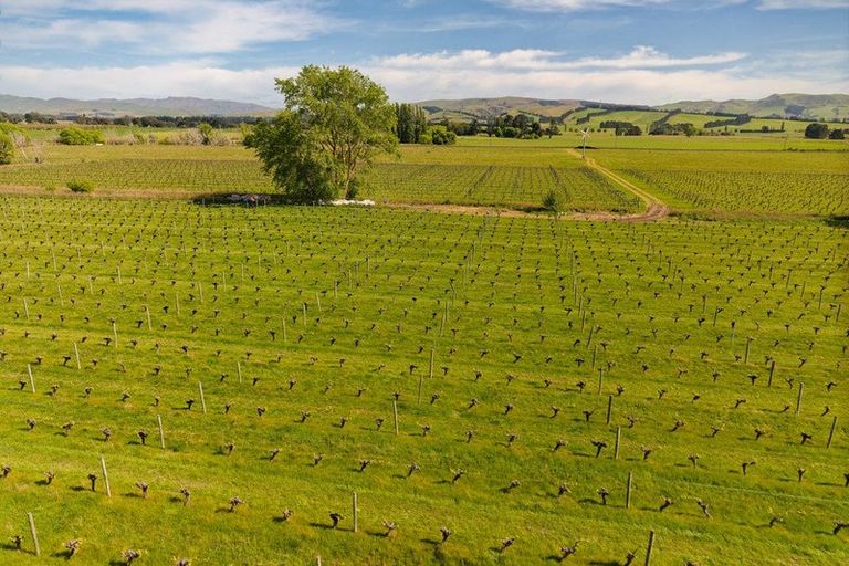 Photo of property in 35 Brighton Street, Island Bay, Wellington, 6023