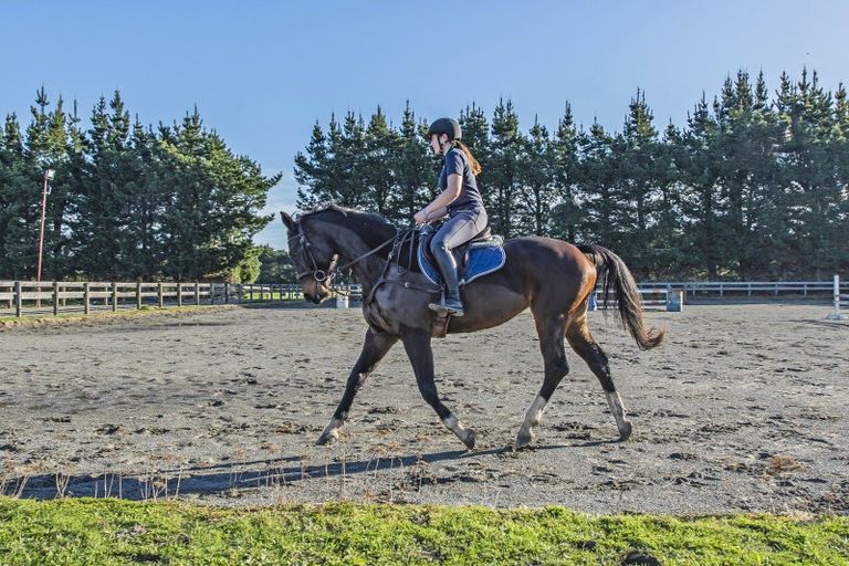 Photo of property in 65 Alpineview, West Melton, Christchurch, 7675