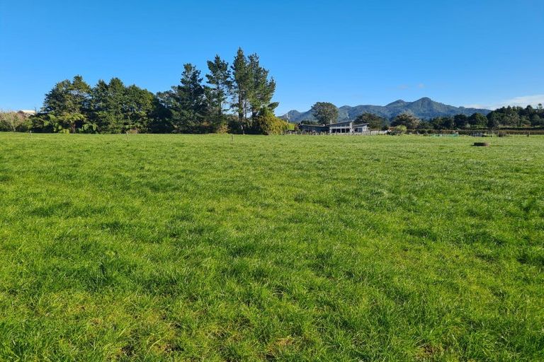 Photo of property in 611 Hurford Road, Hurford, New Plymouth, 4374