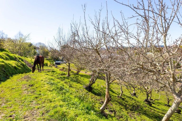 Photo of property in 84 Paterson Street, Aramoho, Whanganui, 4500