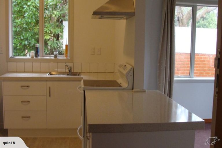 Photo of property in 3 Avon Street, Roslyn, Dunedin, 9010