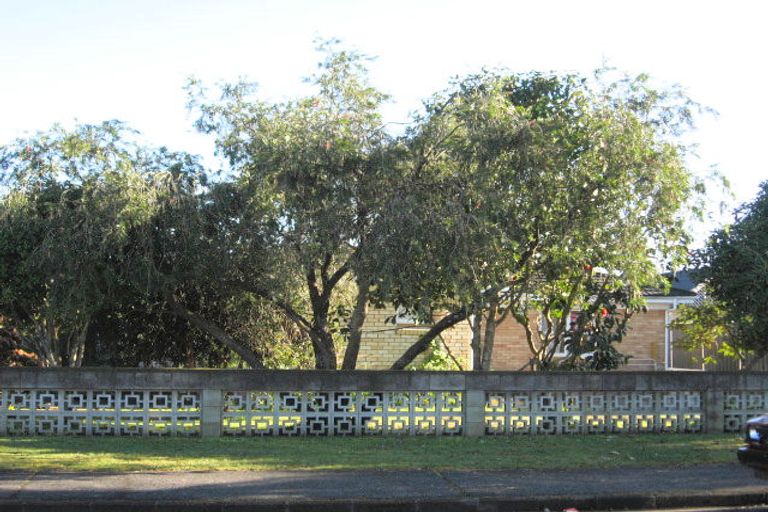 Photo of property in 21 Edmund Hillary Avenue, Papakura, 2110