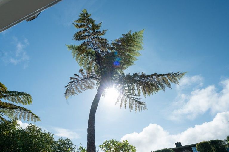 Photo of property in 18 Shotter Street, Karori, Wellington, 6012