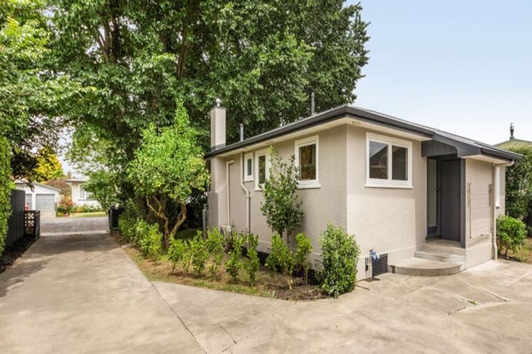 Photo of property in 804 Churchill Street, Akina, Hastings, 4122