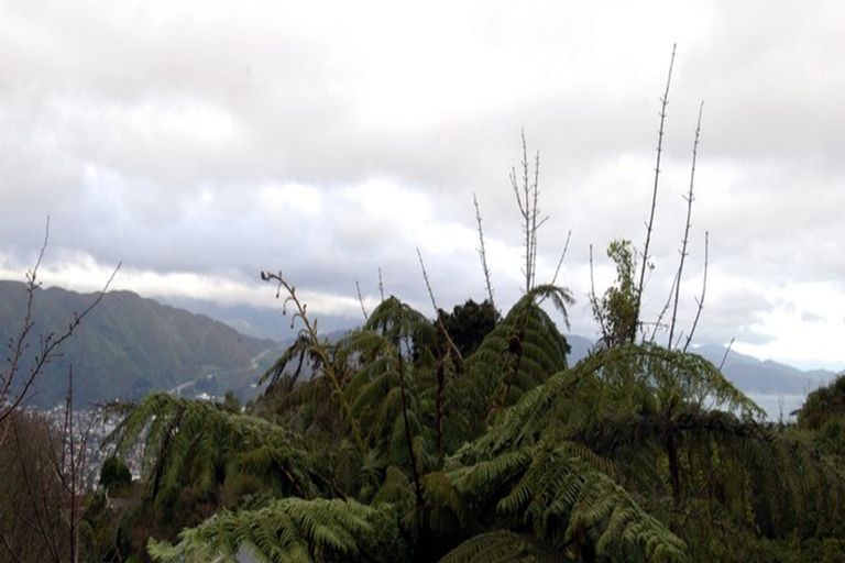 Photo of property in 16 Wilson Grove, Normandale, Lower Hutt, 5010