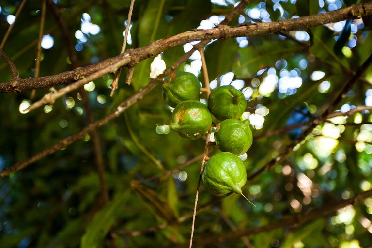Photo of property in 107 Ohiwa Loop Road, Waiotahe, Opotiki, 3198