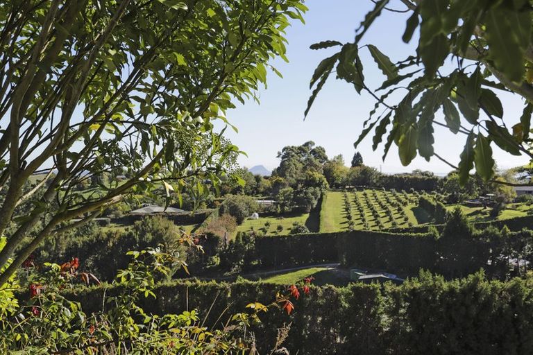 Photo of property in 520e Upper Ohauiti Road, Ohauiti, Tauranga, 3173