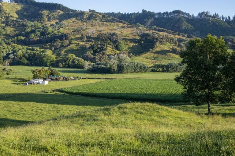 Photo of property in 749 Kanakanaia Road, Te Karaka, 4091