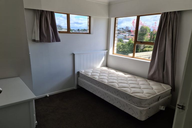 Photo of property in 4a Burns Street, Gate Pa, Tauranga, 3112