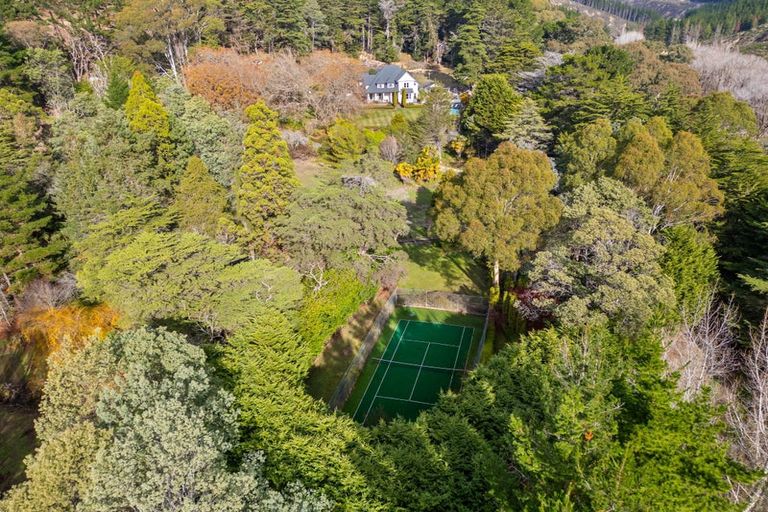 Photo of property in 832 Blairlogie-langdale Road, Blairlogie, Masterton, 5872