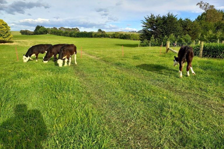 Photo of property in 47 Whiterocks Road, Deborah, Oamaru, 9492