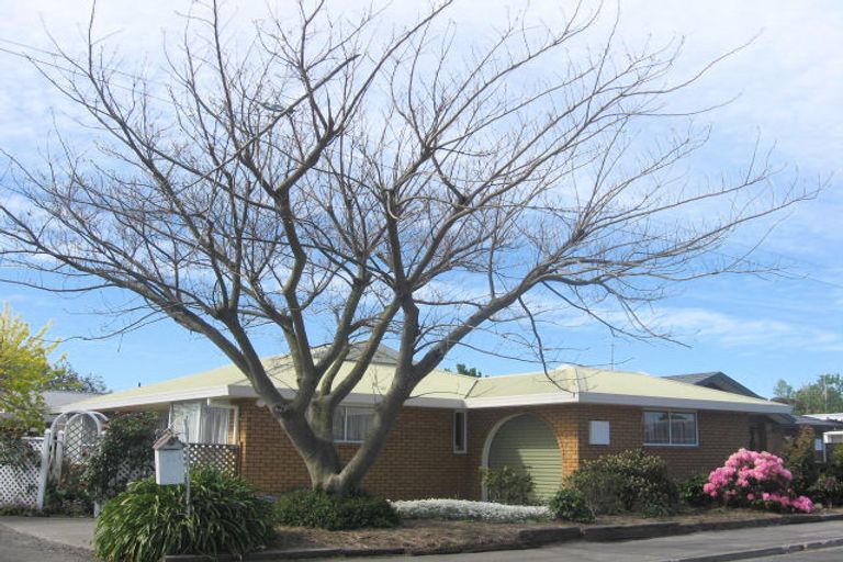 Photo of property in 24a Dillon Street, Blenheim, 7201