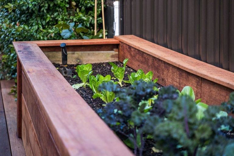 Photo of property in 4 Humariri Street, Point Chevalier, Auckland, 1022