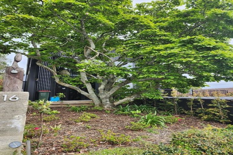 Photo of property in 16 Peace Avenue, Moturoa, New Plymouth, 4310