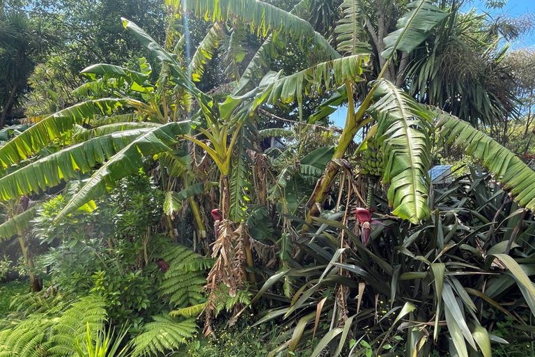 Photo of property in 9 Raroa Terrace, Waiatarua, Auckland, 0604