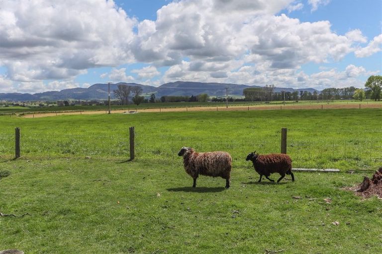 Photo of property in 401 Longview Road, Reporoa, 3083