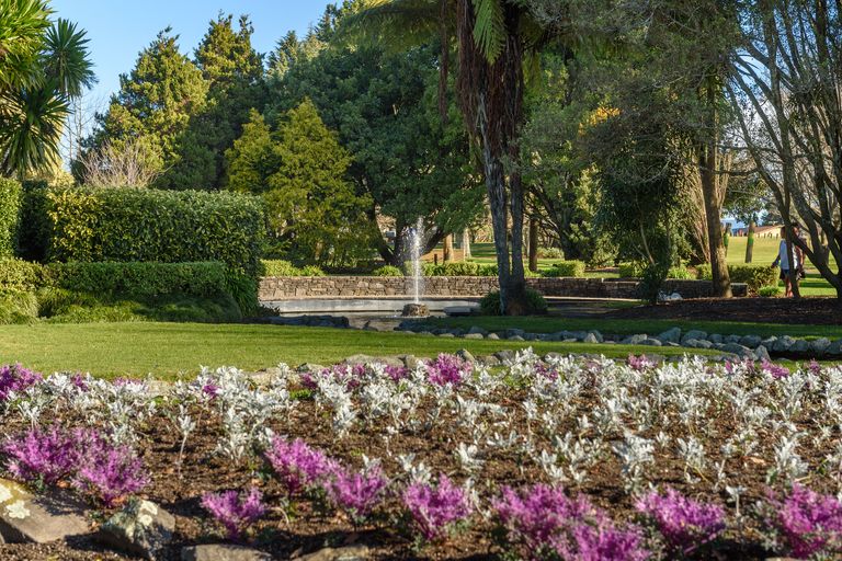 Photo of property in 1 Harrier Street, Parkvale, Tauranga, 3112