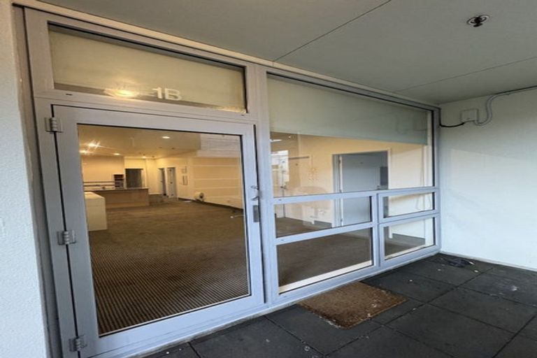 Photo of property in Hanson House, 1b/27 Hanson Street, Mount Cook, Wellington, 6021