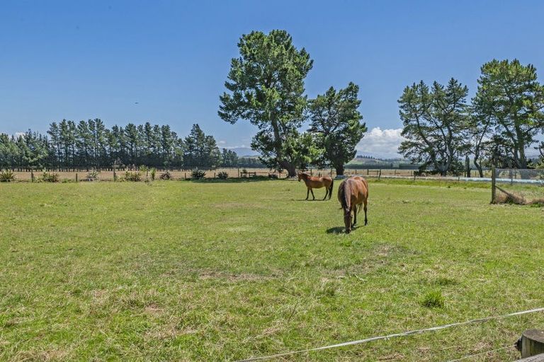 Photo of property in 575 Bangor Road, Darfield, 7571