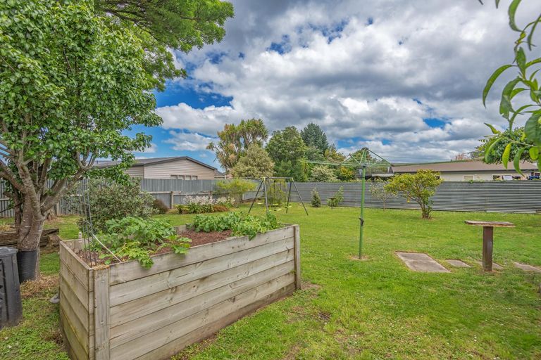 Photo of property in 24 Snowdon Avenue, Terrace End, Palmerston North, 4410