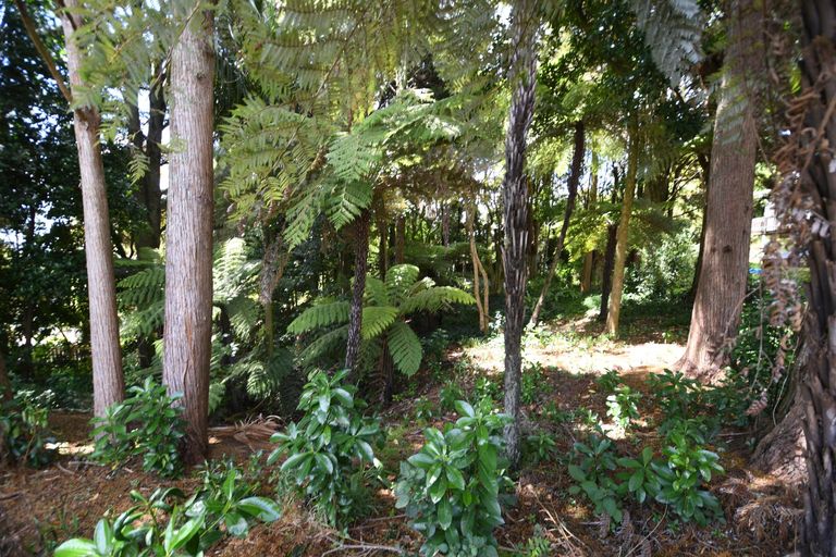 Photo of property in 1/51 Hill Street, Warkworth, 0910