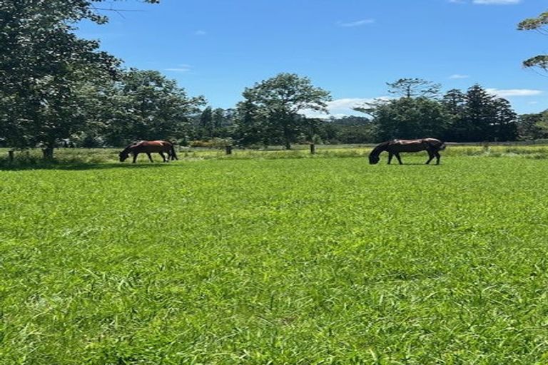 Photo of property in 103 Awa Road, Kumeu, 0891