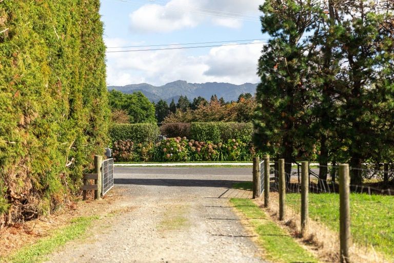 Photo of property in 50 Tetley Road, Tahawai, Katikati, 3178