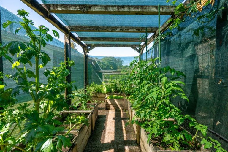 Photo of property in 8b Westbrook Place, Pomare, Rotorua, 3015