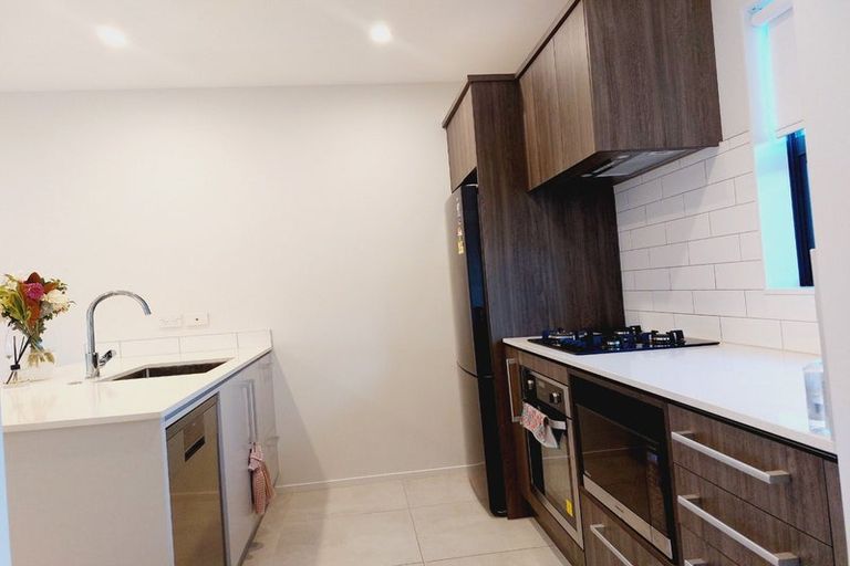 Photo of property in 46 Brookview Drive, Flat Bush, Auckland, 2019
