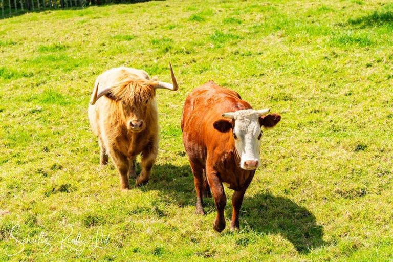 Photo of property in 4 Horniblow Road, Matakohe, 0594