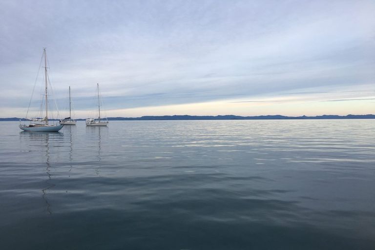 Photo of property in 65 Hebron Road, Waiake, Auckland, 0630