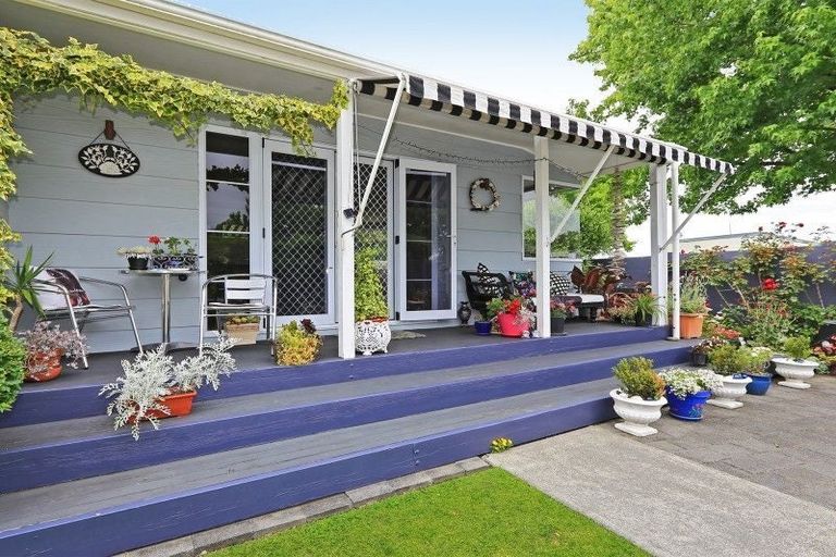 Photo of property in 302 Leo Street, Akina, Hastings, 4122