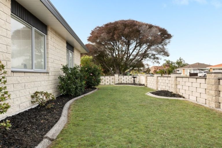 Photo of property in 203a Grenada Street, Mount Maunganui, 3116