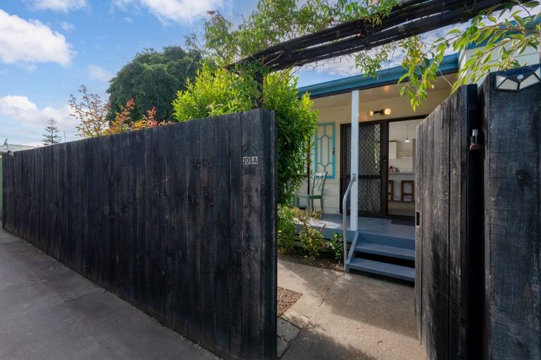 Photo of property in 205a Pattison Road, Akina, Hastings, 4122