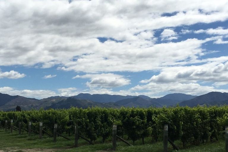 Photo of property in 4 Rose Manor Drive, Springlands, Blenheim, 7201