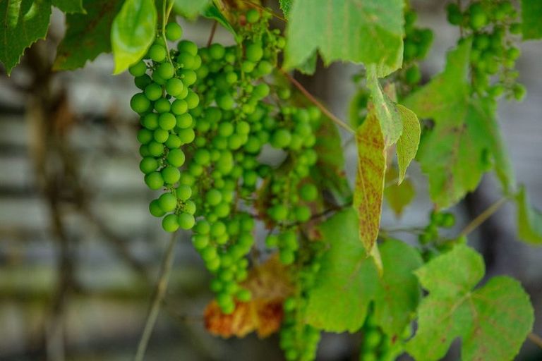 Photo of property in 348 Main Sh25 Road, Tairua, 3508