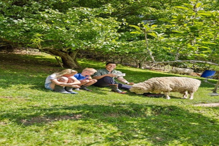 Photo of property in 19 Castleton Way, Flagstaff, Hamilton, 3210