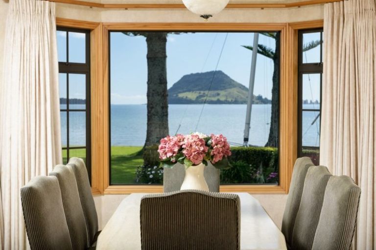 Photo of property in 91 Kulim Avenue, Otumoetai, Tauranga, 3110