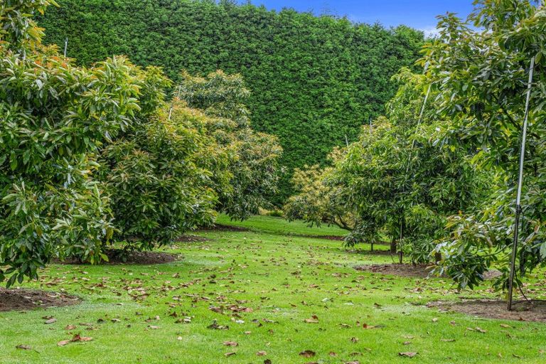 Photo of property in 69 Francis Road, Whakamarama, Tauranga, 3172